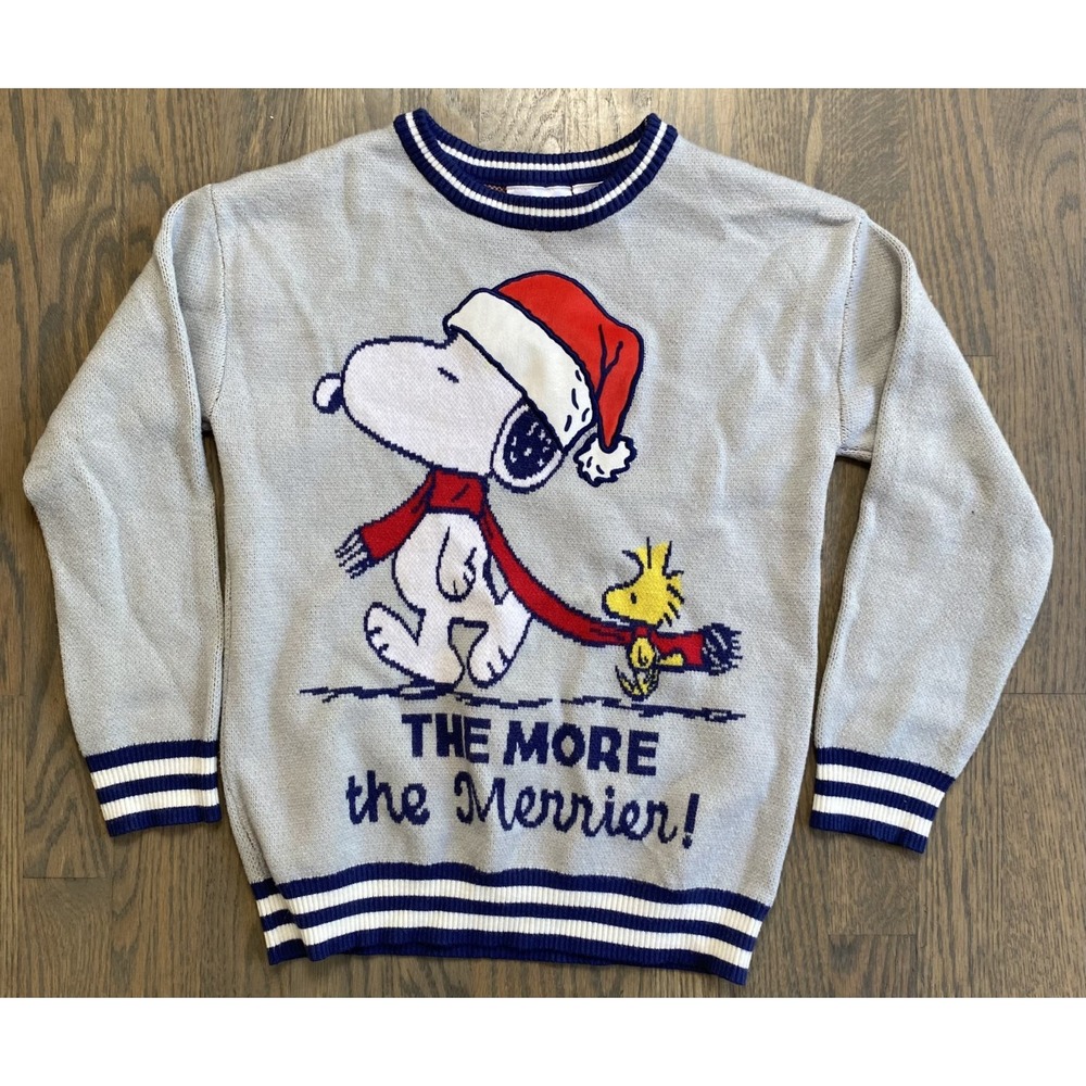 Peanuts Snoopy Woodstock Christmas Sweater Gray Kids Medium 10/12